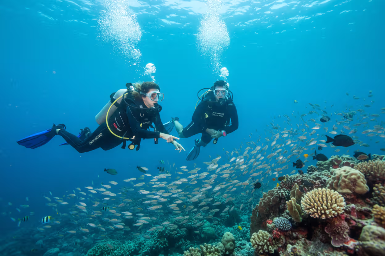 Scuba divers swimming in open water with full gear